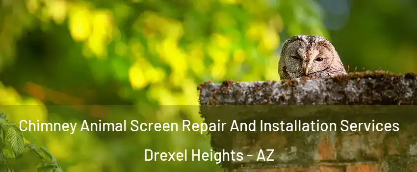  Chimney Animal Screen Repair And Installation Services Drexel Heights - AZ