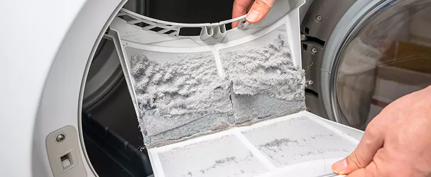 Best Dryer Lint Removal Company in Drexel Heights, Arizona